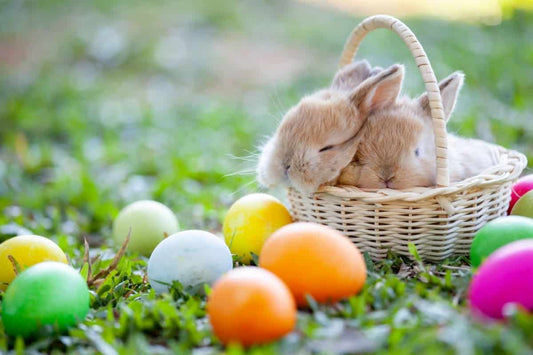 Closure for Easter Weekend