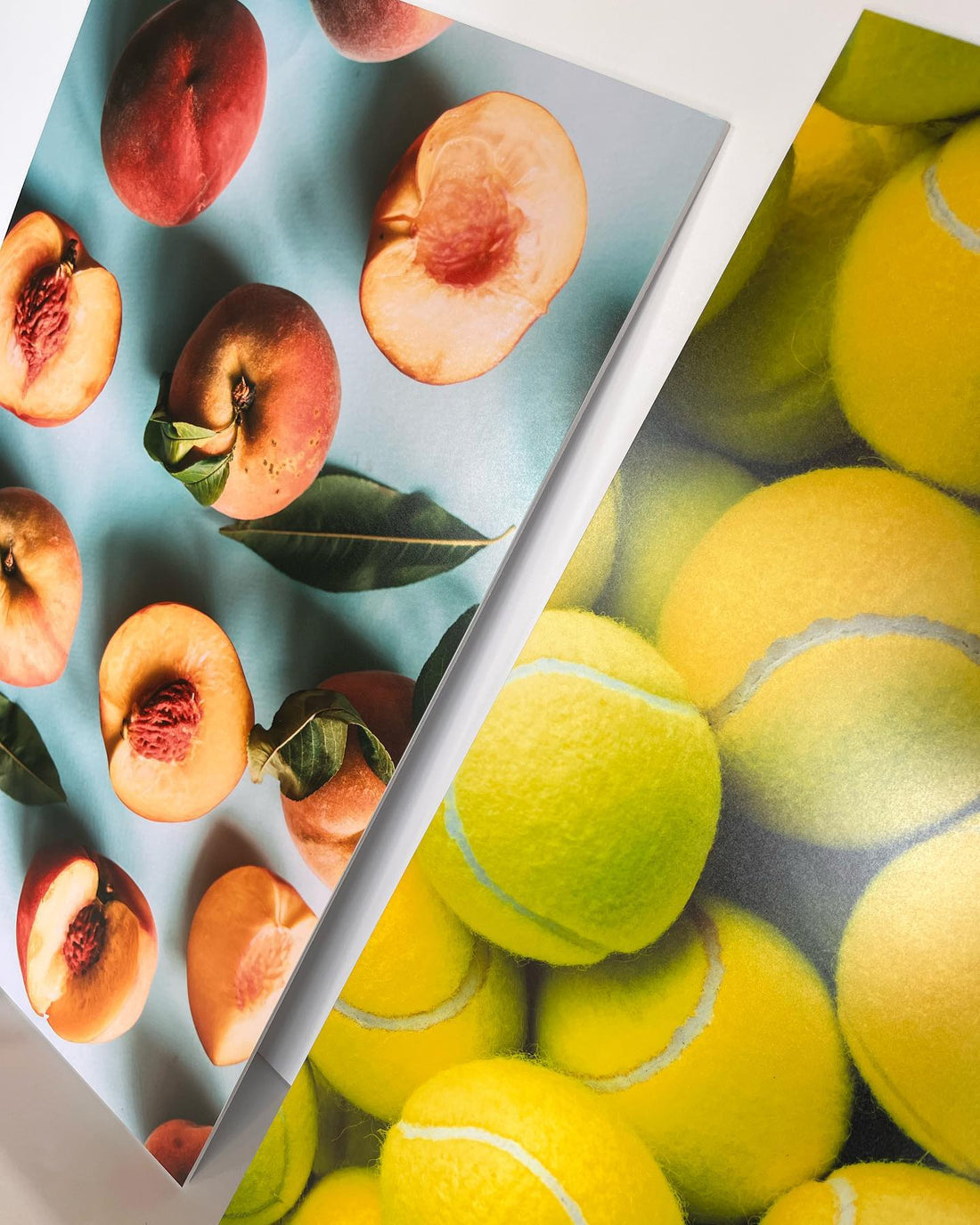 A Photographer’s Guide to the Best Resources in the GTA