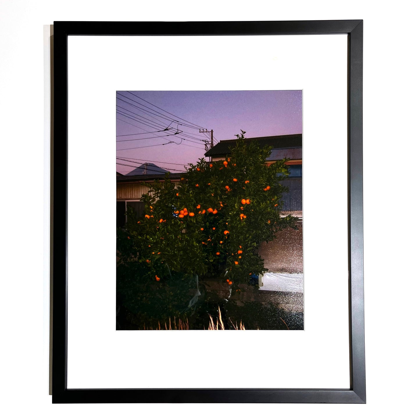 16x20 black frame with white matting featuring a luster photo print. The photo is a flash photograph of a sunset in Japan with the main focus on an orange tree