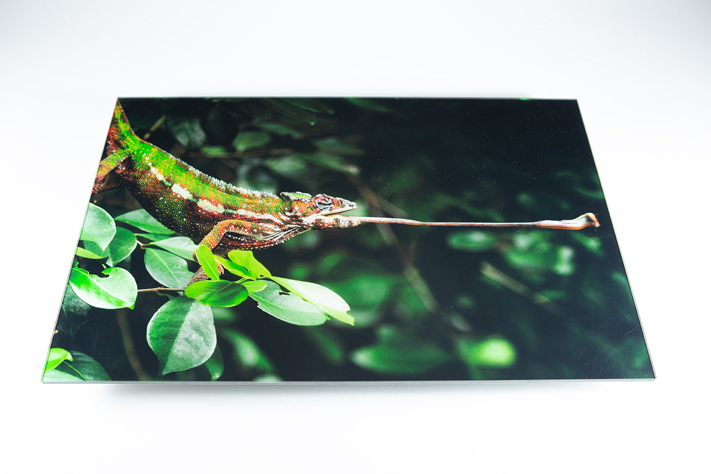 acrylic photo mount