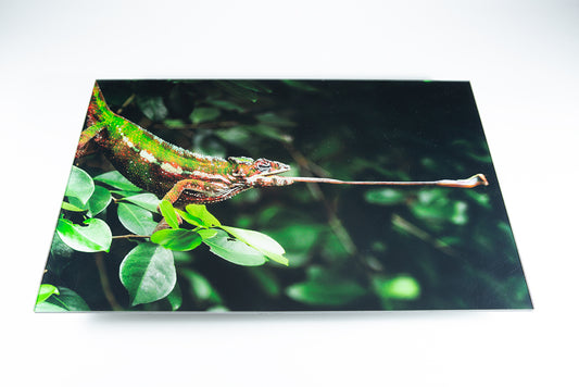 acrylic photo mount