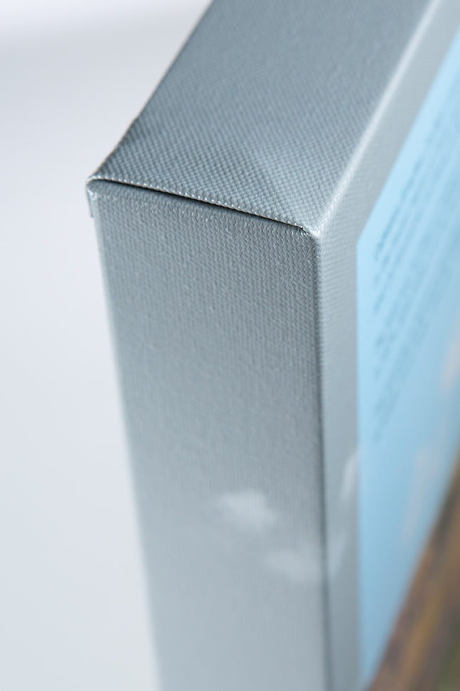 Canvas Prints - Gallery Wrapped