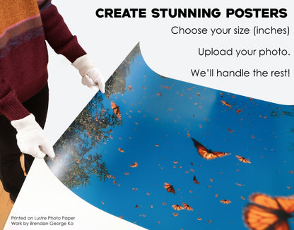 Photo Prints - Large Batch (SINGLE PRINT ONLY)