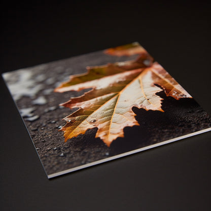 Fotobox - Foam Core Mounted Photo Prints