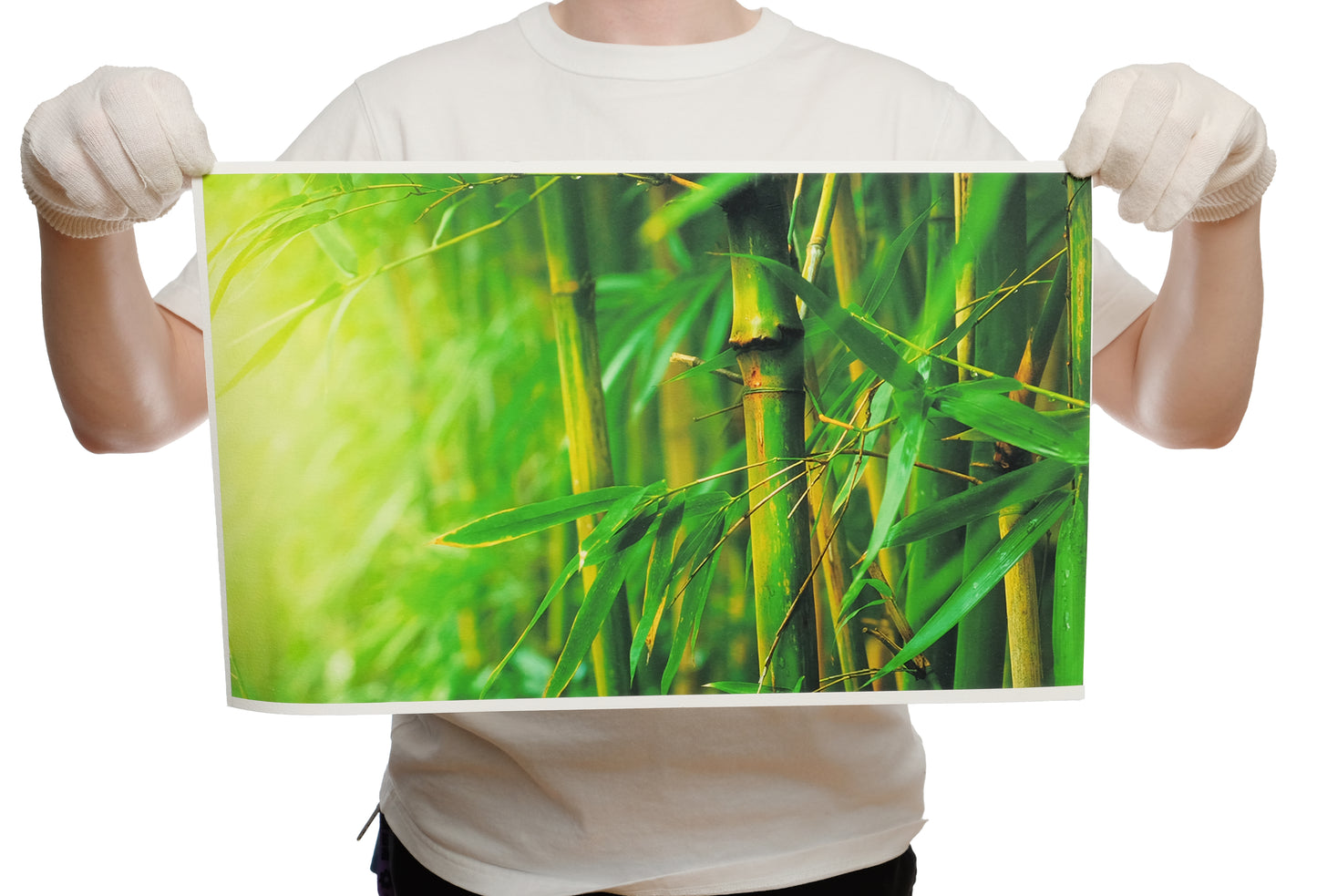 A person in a white t-shirt holds a 12x20" photo rag giclée print from both the top corners displaying bright neon green bamboo. The print features a textured surface and displays the accurate representation of retaining vibrant colors.