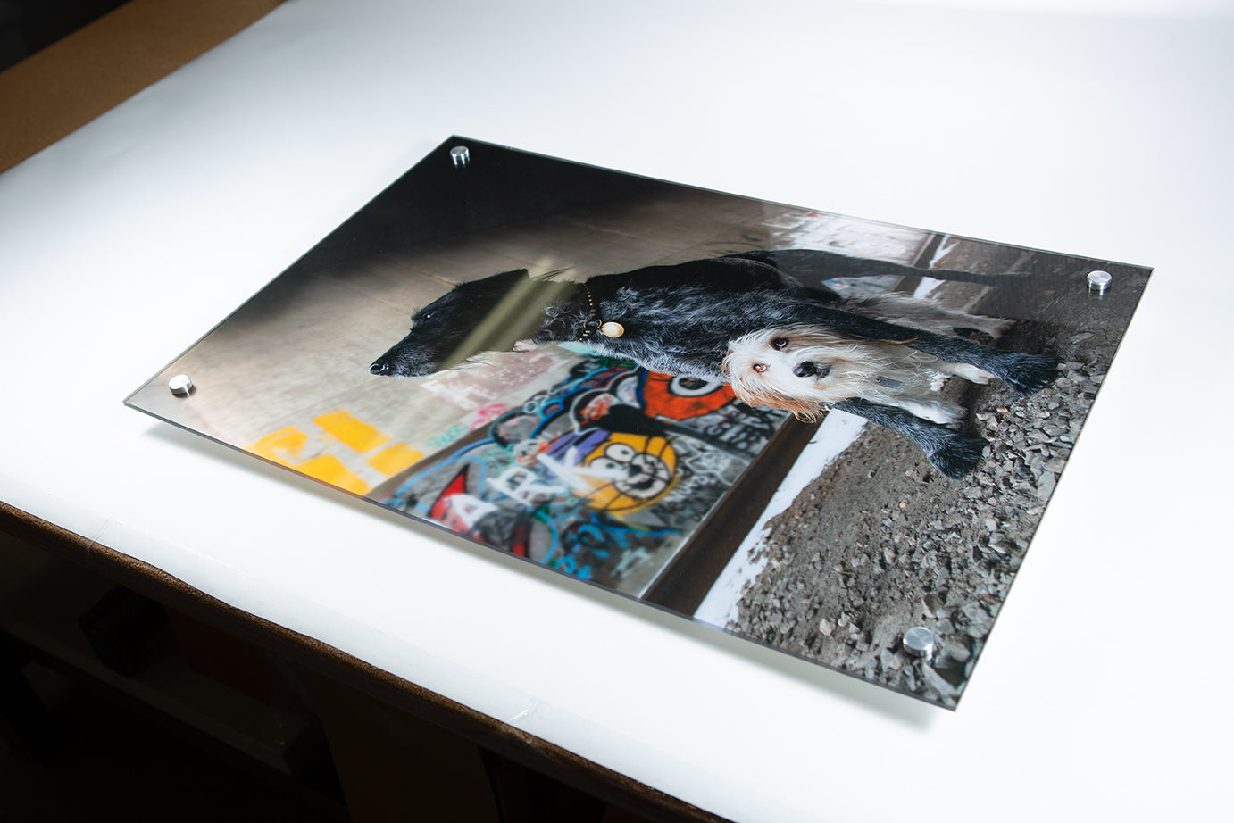 acrylic photo mount print with metal standoffs